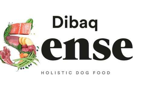 Banner Dibaq Sense - 1